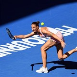Karolna Plkov se ve tvrtfinle Australian Open potk se Serenou...