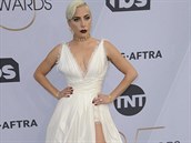 Kde jsou ty doby, kdy Lady Gaga okovala kostýmy z masa?