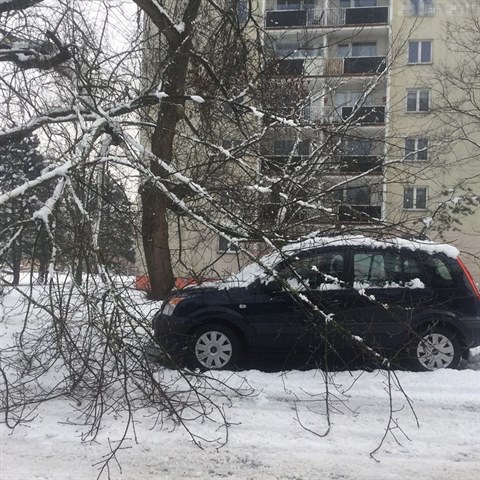 Nalomen vtev stromu spadla v Olomouci na auto, kter pokodila.