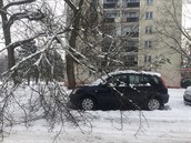Nalomená vtev stromu spadla v Olomouci na auto, které pokodila.