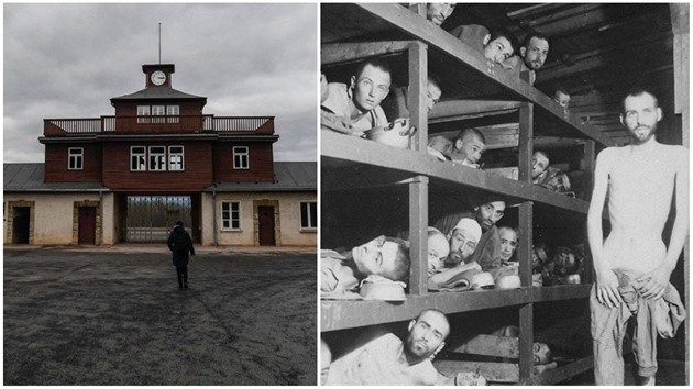 Vyroste na míst poboného tábora koncentraního tábora Buchenwald muzeum...