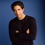 David Schwimmer jako paleontolog Ross Geller