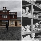 Vyroste na mst pobonho tbora koncentranho tbora Buchenwald muzeum...