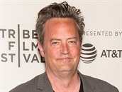 Matthew Perry dnes