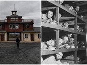 Vyroste na míst poboného tábora koncentraního tábora Buchenwald muzeum...
