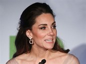 Kate Middleton se stal terem kritiky za róbu od Gucciho, který nedávno elil...