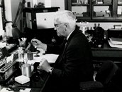 Alexander Fleming v akci. Práv ve své laboratoi v londýnské nemocnici svaté...