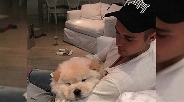 Justin se svého psa zbavil