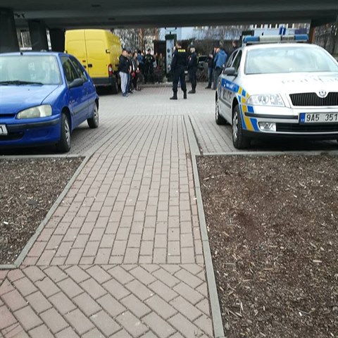 Nkolik len gang policist zatkli.