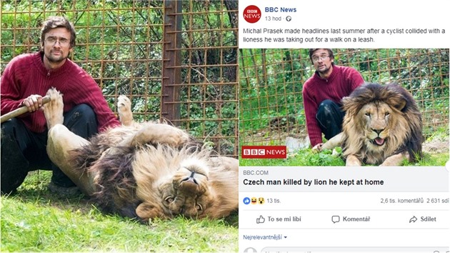 Pípad chovatele, kterého zabil lev, eí dokonce i v zahranií.