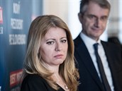 Zuzana aputová je bojovnicí za lidská práva.