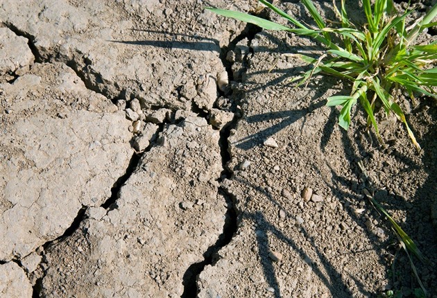 Česko je na suchu. Nejen zemědělce znepokojuje fakt, že nedostatek vody přišel už v dubnu.