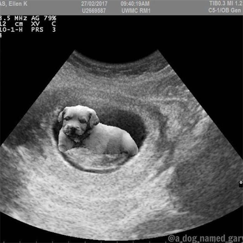 Takto nsledn Bieber odhalil, e si z fanouk jen stlel.