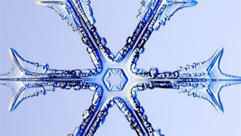 Jak vypadají sněhové vločky pod mikroskopem - JenProMuze