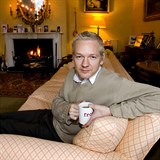 Julian Assange ml na ekvdorskm velvyslanectv v Londn poitick azyl od...
