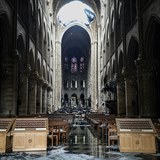 Notre-Dame po niivm poru