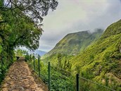 Madeira je vn zelený ostrov.