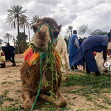 Babiovi na rodinn dovolen v Maroku