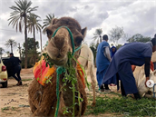 Babiovi na rodinné dovolené v Maroku