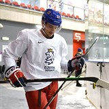 Jakub Vrna vl v NHL