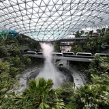 Hlavní budova singapurského letiště Changi je kombinací obří džungle či...