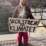 Kdo je teprve šestnáctiletá aktivistka Greta Thunbergová?