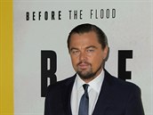 Leonardo DiCaprio natoil dokument Before the flood, který byl u nás uvádn pod...