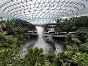 Hlavní budova singapurského letit Changi je kombinací obí dungle i...