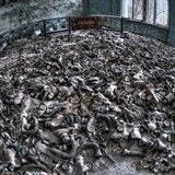 Havrie v ernobylu zanechala stopy dodneka.