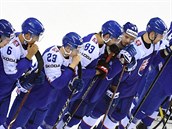 Sloventí hokejisté prohráli s Kanadou, fanouci to neunesli.