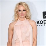 Pamela Anderson v Cannes