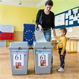 Volby do Evropskho parlamentu 2019
