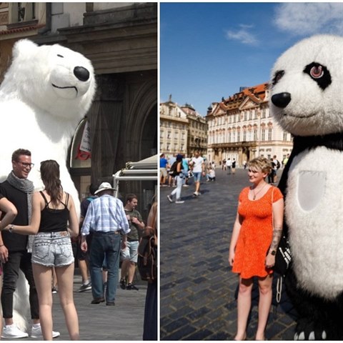 Centrum Prahy zaplavily ob plyci. Praha s nimi hodl zatoit.