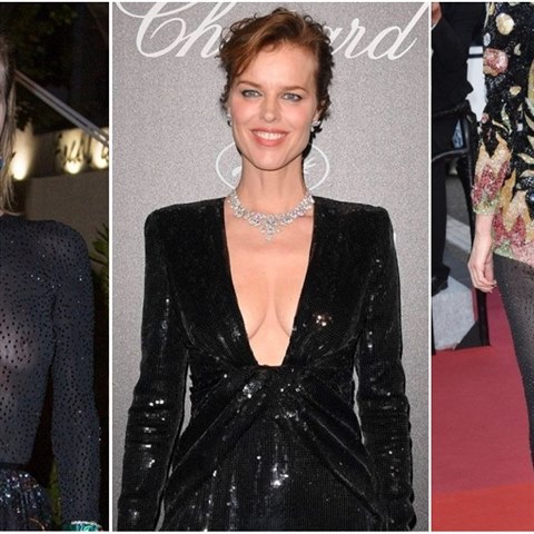 Eva Herzigov ns v Cannes reprezentuje lpe ne hokejisti v Bratislav.