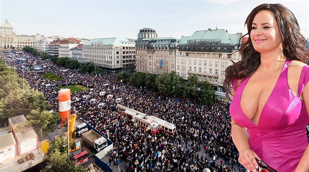 Jitka vanarová dnes vystoupí na demonstraci proti premiérovi Babiovi.