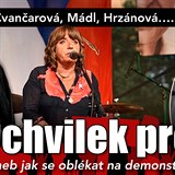 Hnutí Milion chvilek pro demokracii přilákalo na Václavák nejen sto tisíc lidí,...