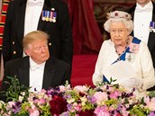 Donald Trump pl na královnu Albtu samou chválu.