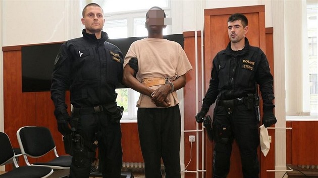 Muž, který měl znásilnit šestnáctiletou dívku nedaleko Lukavce na Litoměřicku, jde do vazby.