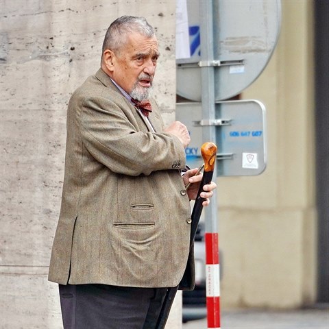 Karel Schwarzenberg dajnho syna zaryt odmt.