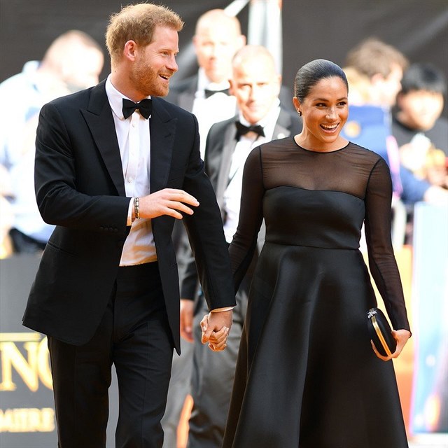 Meghan Markle se svm manelem Harrym