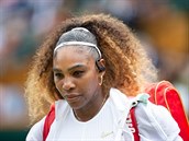 Serena Williamsová je nejúspnjí tenistkou vech dob. U ale dávno není...