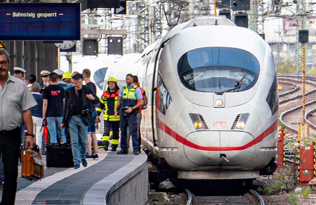 Ve Frankfurtu dolo ke chladnokrevné vrad. Eritrejec piel zezadu k matce s...