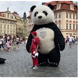 Pro je na Staromku panda, kdo si zaplat za slupku od brambor a co tady dl...