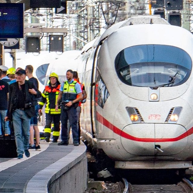 Ve Frankfurtu dolo ke chladnokrevn vrad. Eritrejec piel zezadu k matce s...