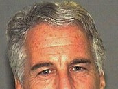 Jeffrey Epstein spáchal zejm sebevradu.