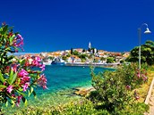 Ostrov Ugljan leící naproti Zadaru je idylickým místem. Splaky a fekálie do...