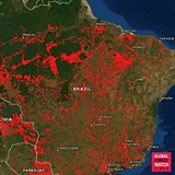 V Amazonii zuří četné požáry. Mapa požárů vypadá opravdu děsivě.