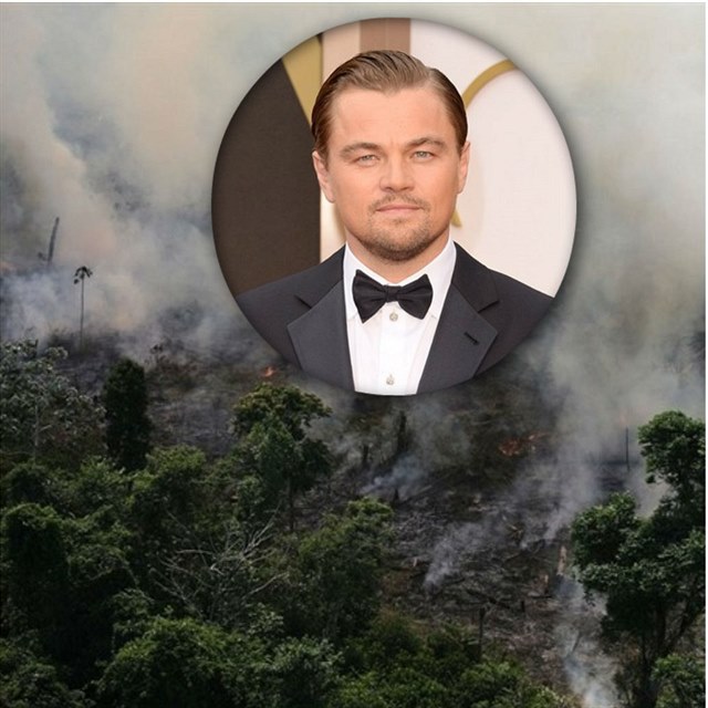 Leonardo DiCaprio se rozhodl pispt miliony na zchranu Amazonie.