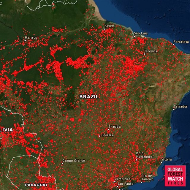 V Amazonii zu etn pory. Mapa por vypad opravdu dsiv.
