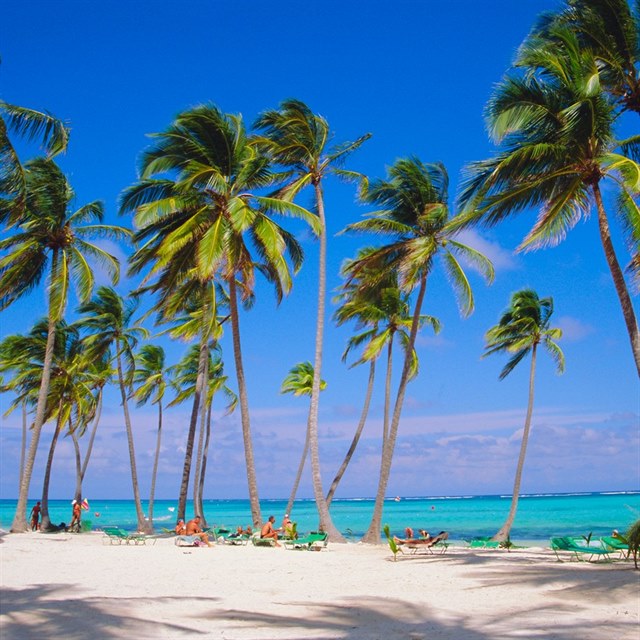 Punta Cana v Dominiknsk republice pat mezi velmi oblben letoviska.